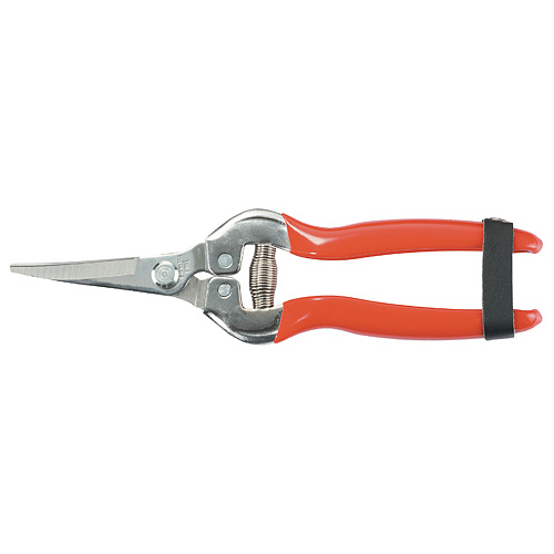Nožnice Strend Pro Premium 803AS, 185 mm, záhradné, na ovocie, zahnuté