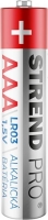 Bat__ria_Strend_Pro__LR03__8_ks__AAA_tu__ka_2