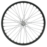 Koleso_Transport__neobut__