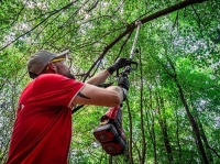 Li__ta_s_re__azou_Worcraft_CGT-S40LiBHP__vyvetvovacia__pre_aku_krovinorez_2