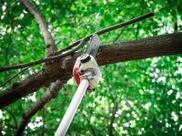 Li__ta_s_re__azou_Worcraft_CGT-S40LiBHP__vyvetvovacia__pre_aku_krovinorez_3