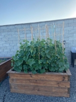 Mrie__ka_Garden_BEK18_090x40_cm__oporn___na_kvety__bambus_3