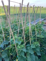 Mrie__ka_Garden_BEK18_090x40_cm__oporn___na_kvety__bambus_4