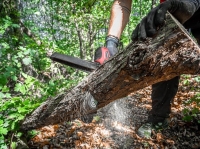 P__la_Worcraft_CHS-S20LiB__20V__Li-Ion__ru__n____re__azov____bezuhl__kov____li__ta_15_cm_6