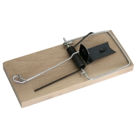 Pasca_KDO_801__na_my__i__dreven__