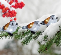 Re__az_MagicHome_Vianoce_A_Bird__25_LED__IP44__3xAA__osvetlenie__5_vt____ikov_1