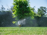 Rozpra__ova___Strend_Pro__Ms__impulzn____hrotov___6