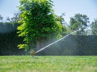 Rozpra__ova___Strend_Pro__Ms__impulzn____hrotov___7