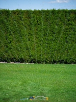 Rozpra__ova___Strend_Pro__oscila__n____18_trysiek_6