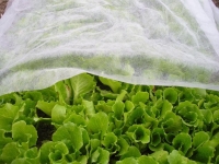 Text__lia_Garden_B1106_3_2x10_m__netkan____17_g_m__biela_2