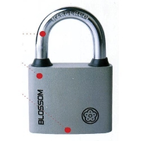 Z__mok_Blossom_BC29_60_mm__visiaci__Unique