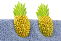 __tipce_na_pl____ov___osu__ky__12x7x5cm__2_ks__anan__sy_2